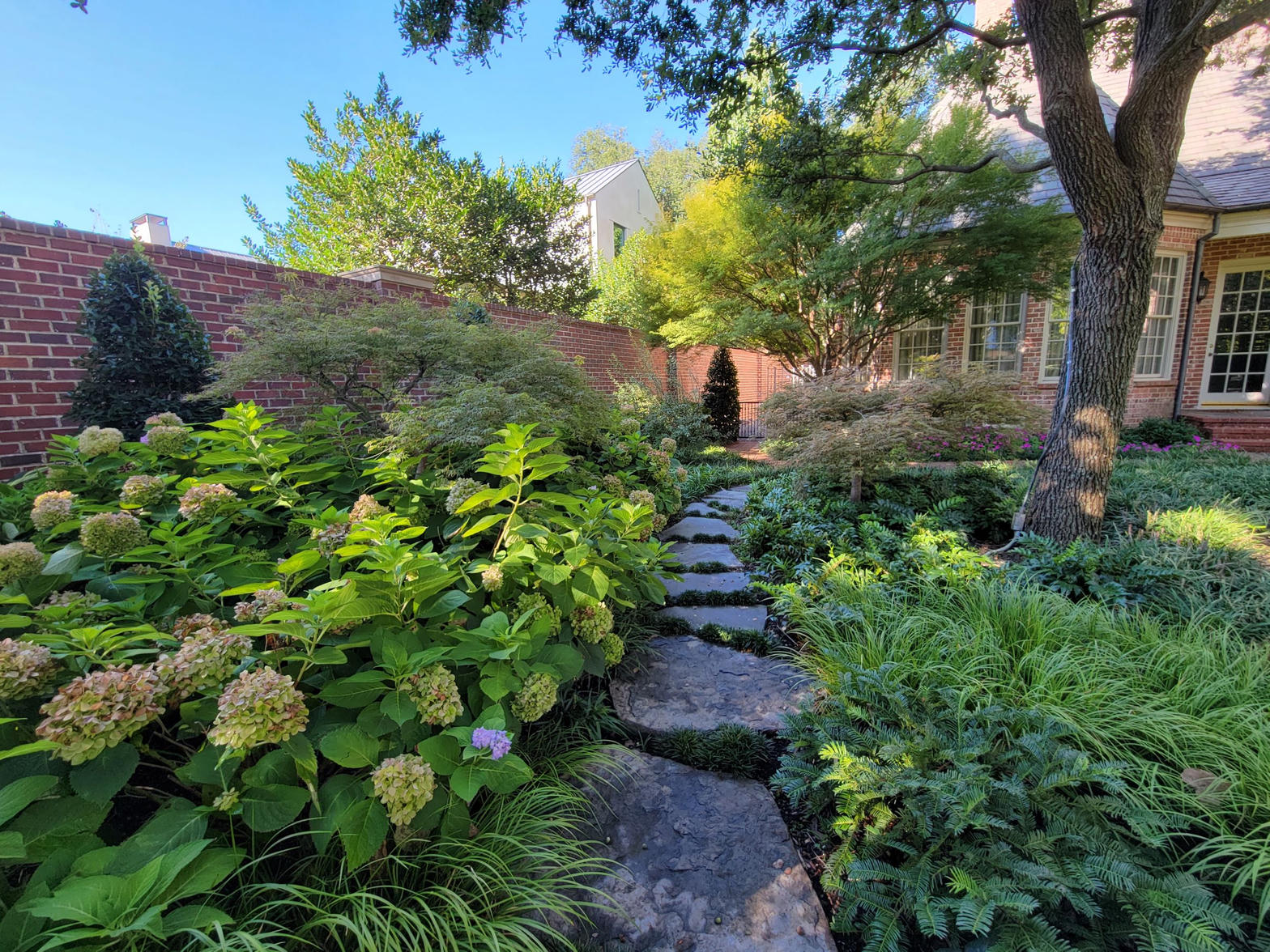 Custom garden path with hydrangeas and layered plantings