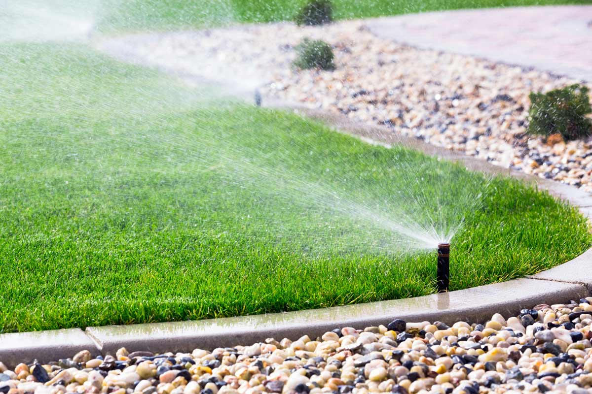 In-ground sprinkler watering a manicured lawn edge