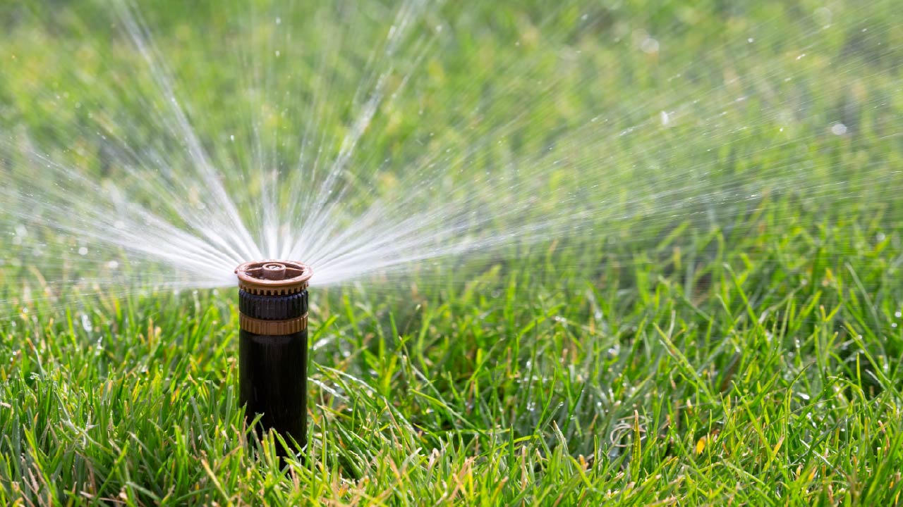 Sprinkler head watering turf